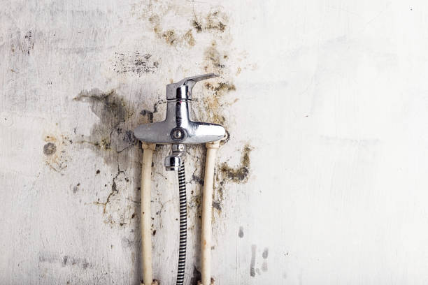 Best Bathroom Mold Remediation in Adair Village, OR