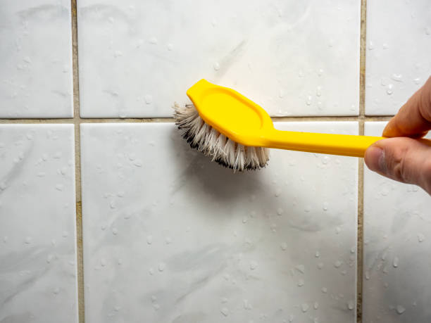 Best Commercial Mold Remediation in Adair Village, OR